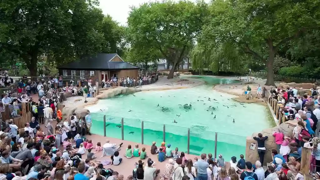 Penguin Beach