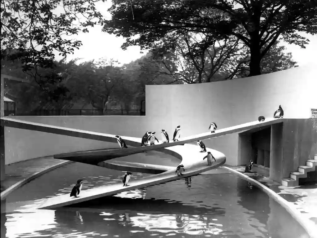 London Zoo Penguin Pool