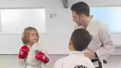 Hogan's Taekwondo Kingston