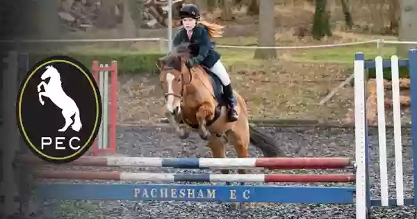 Pachesham Equestrian Centre