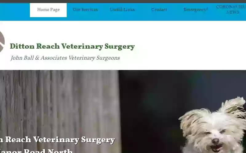 Ditton Reach Veterinary Surgery