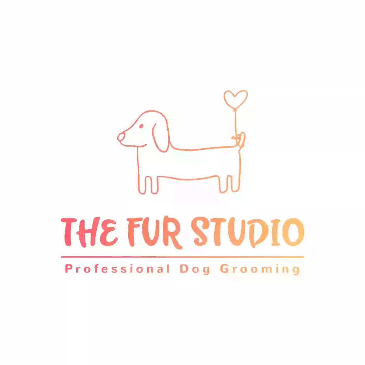 The Fur Studio