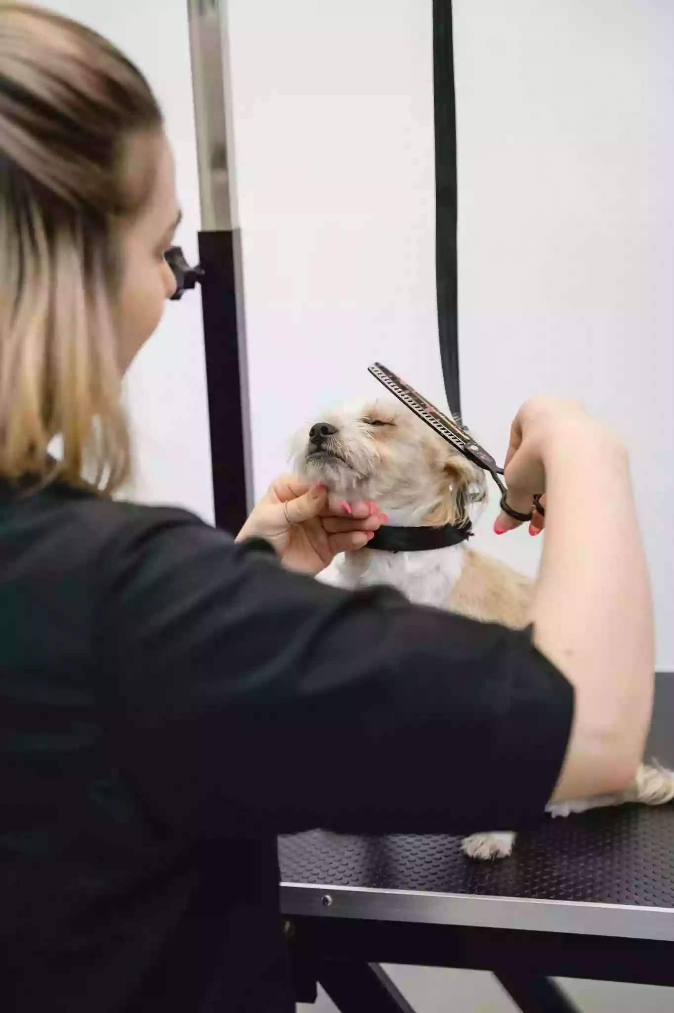 Pawpadour Dog Grooming Studio