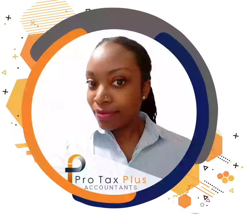 Pro Tax Plus Accountant