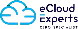 eCloud Experts | Xero Accountant | Xero Migration| Crypto Tax Return| eCommerce Accounting