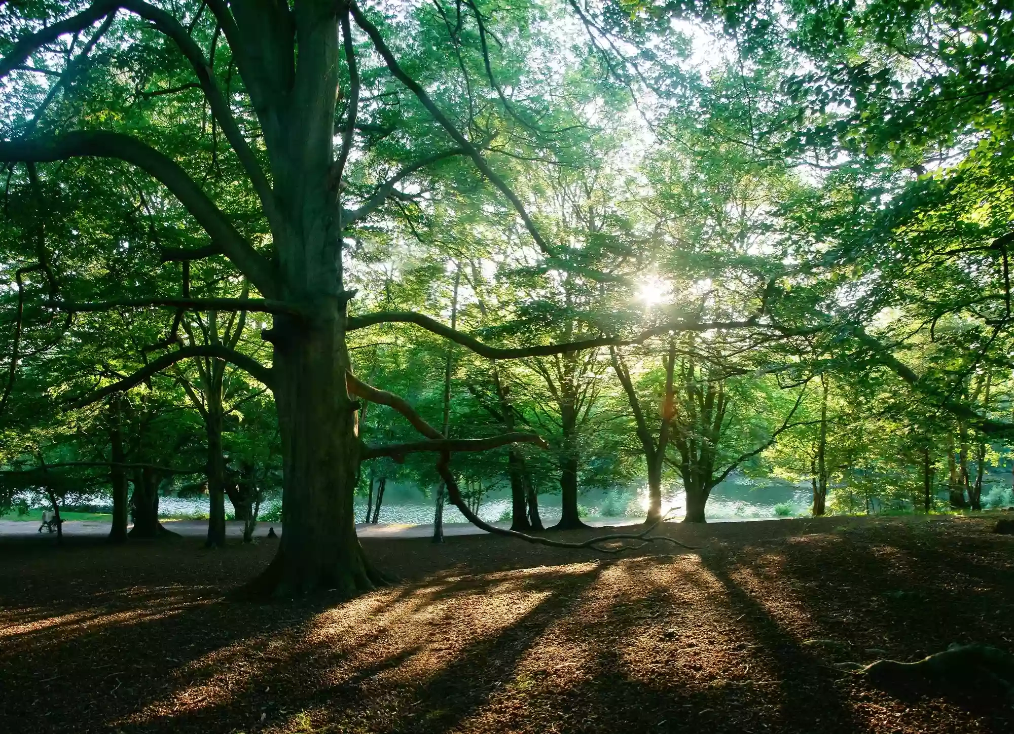 Virginia Water Lake