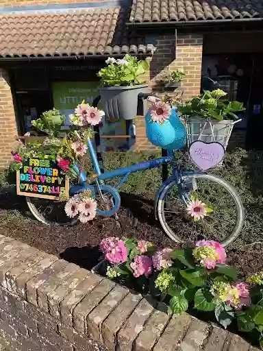 Flower Box