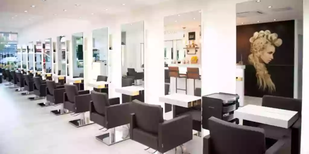 Terence Paul Hale Salon