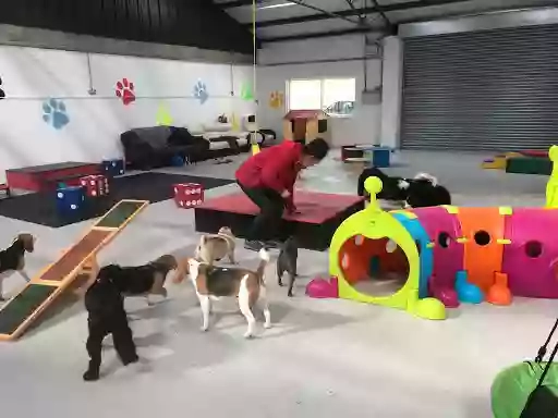 Precious Paws Stay & Play Doggy Daycare