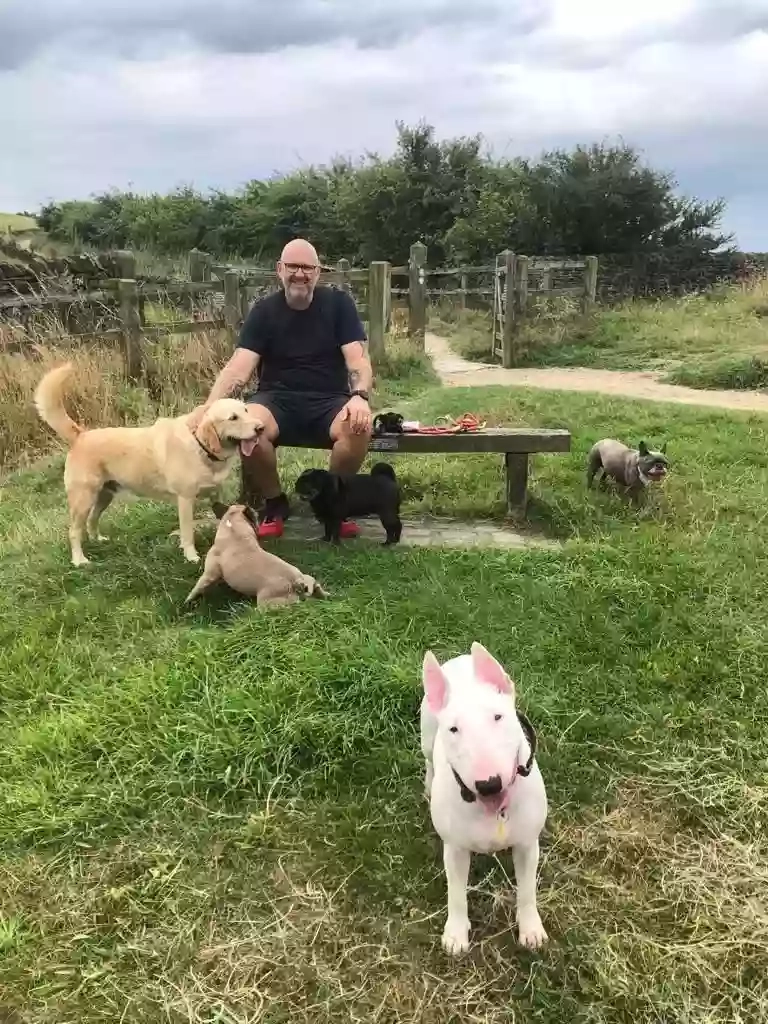 Smiling Dogs