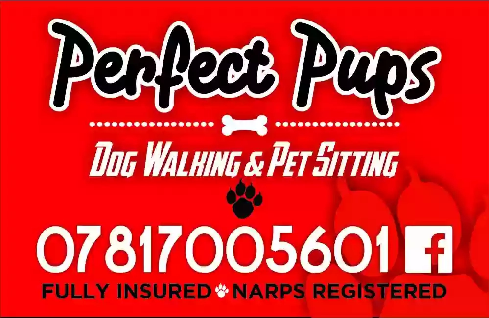 Perfect Pups Dog Walking and Pet sitting