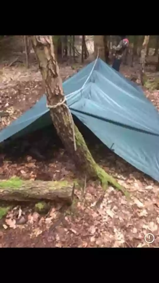 Babes In The Woods Forest School Sessions