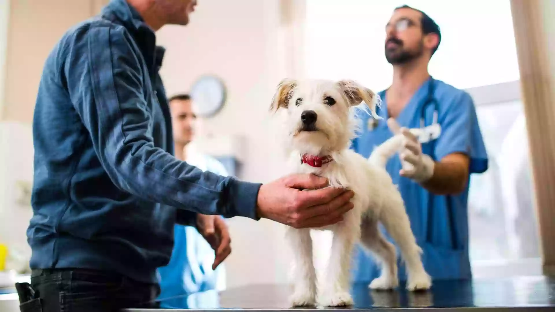 Manor Veterinary Centre