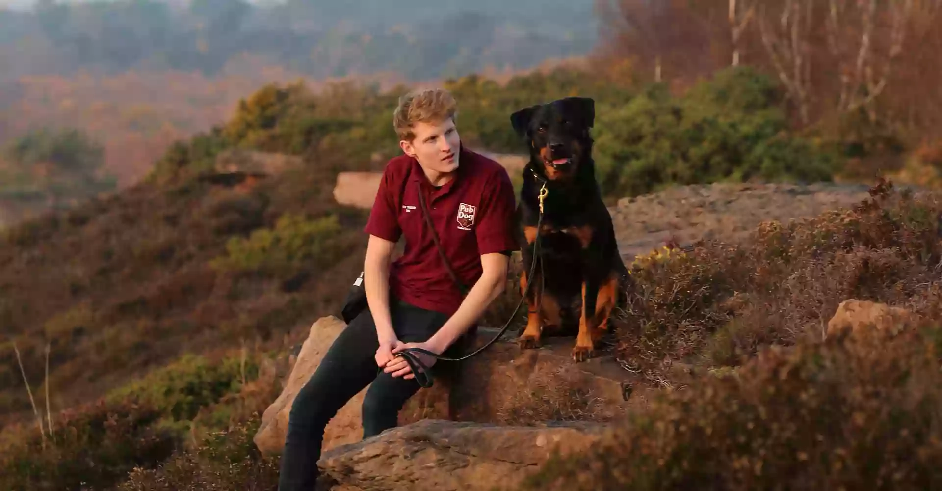 Pub Dog Training School