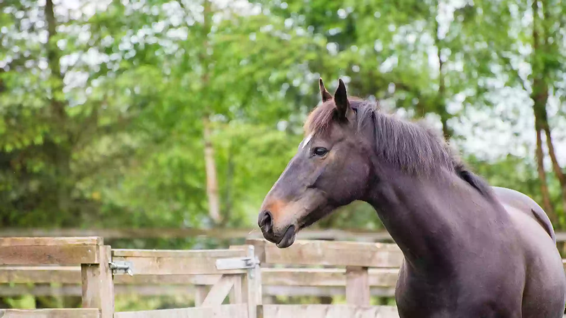 Rufford Veterinary Group