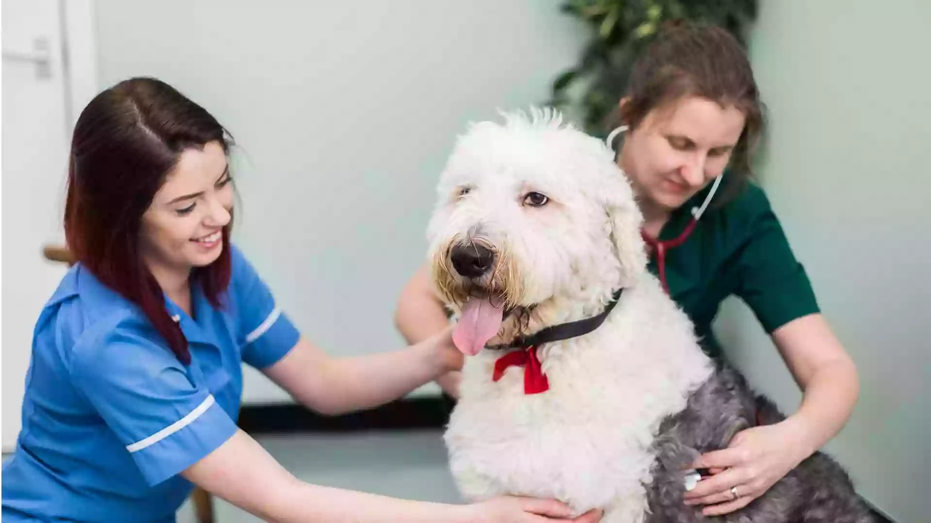 Churchview Veterinary Centre