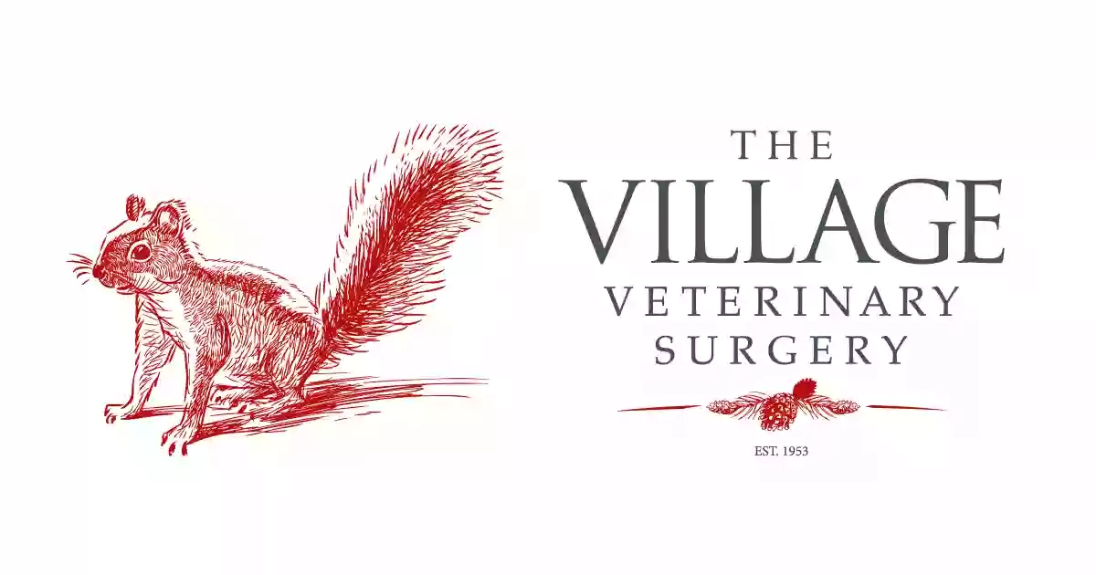 Village Veterinary Surgery