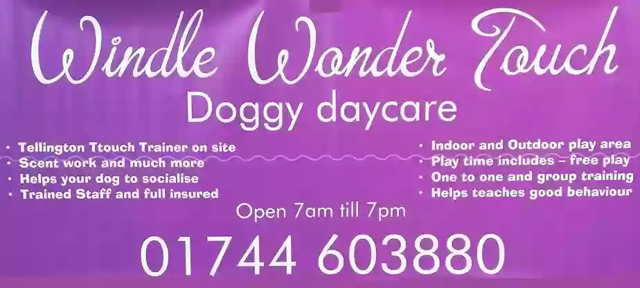 Windle Wonder Touch Doggy Daycare