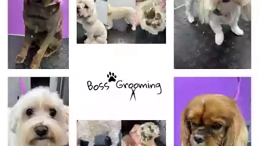 Boss Grooming