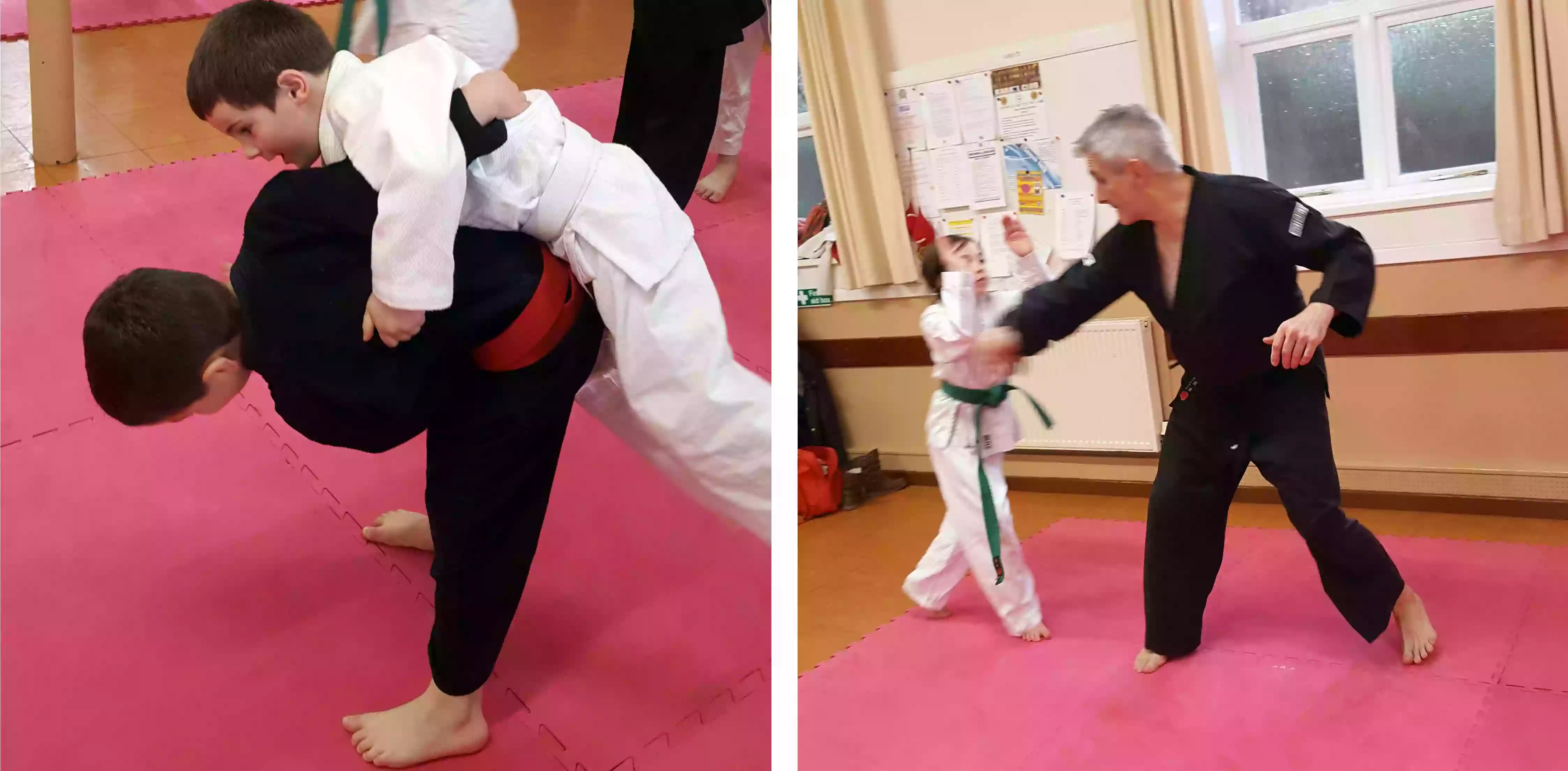 Junior Jitsu