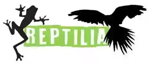 Reptilia