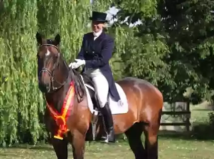 College Farm Equestrian Centre