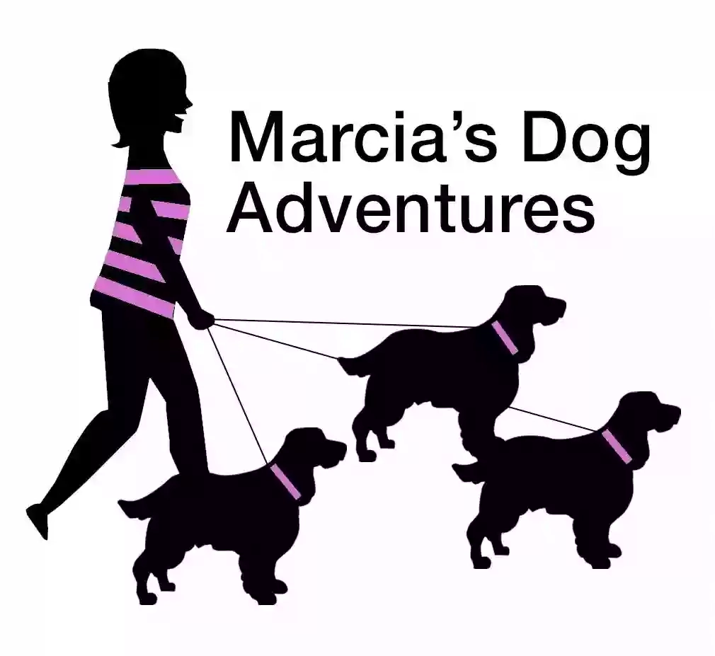 Marcia's Dog Adventures