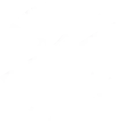 Windmill Hill City Farm