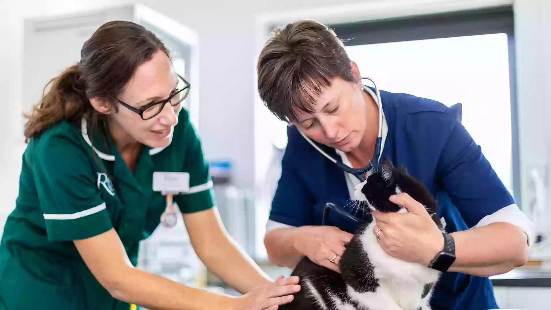 Rowe Veterinary Referrals