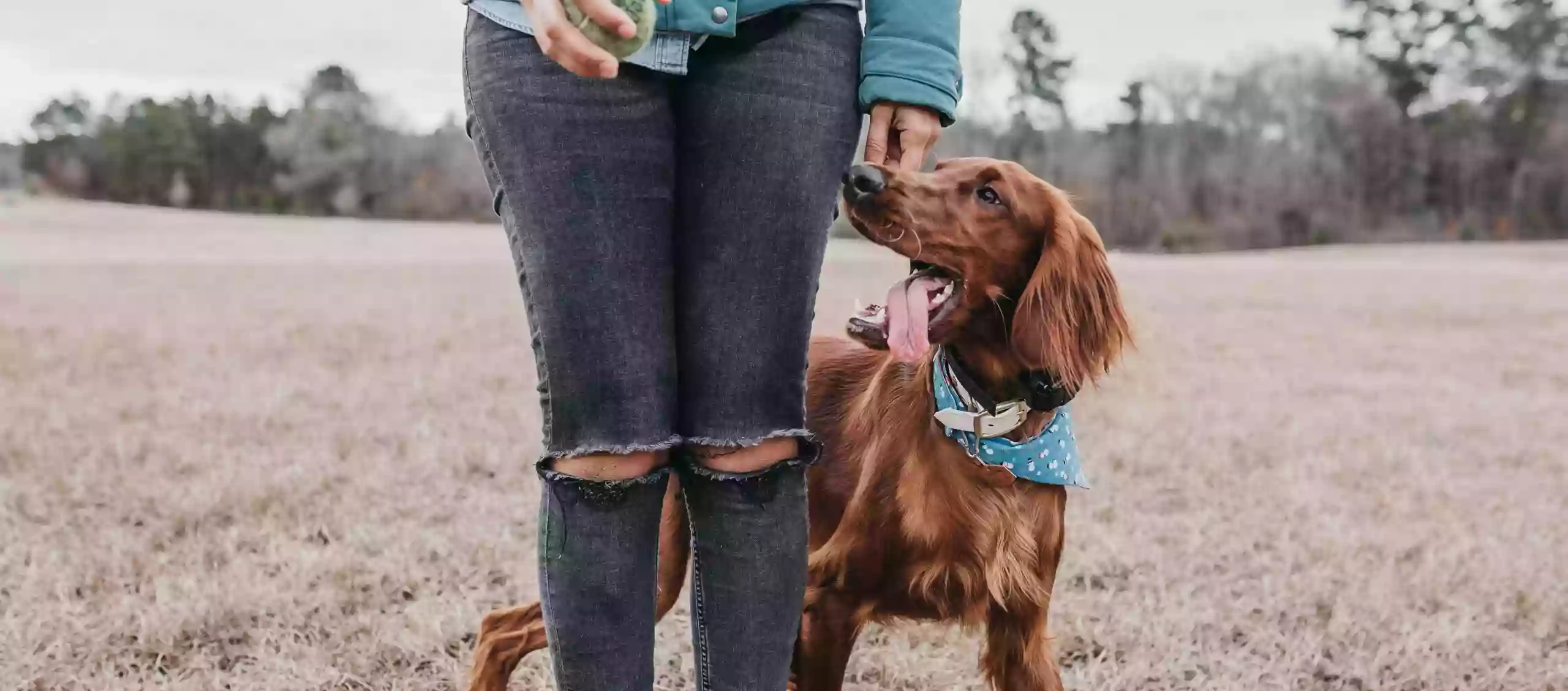 Woodland Walkies