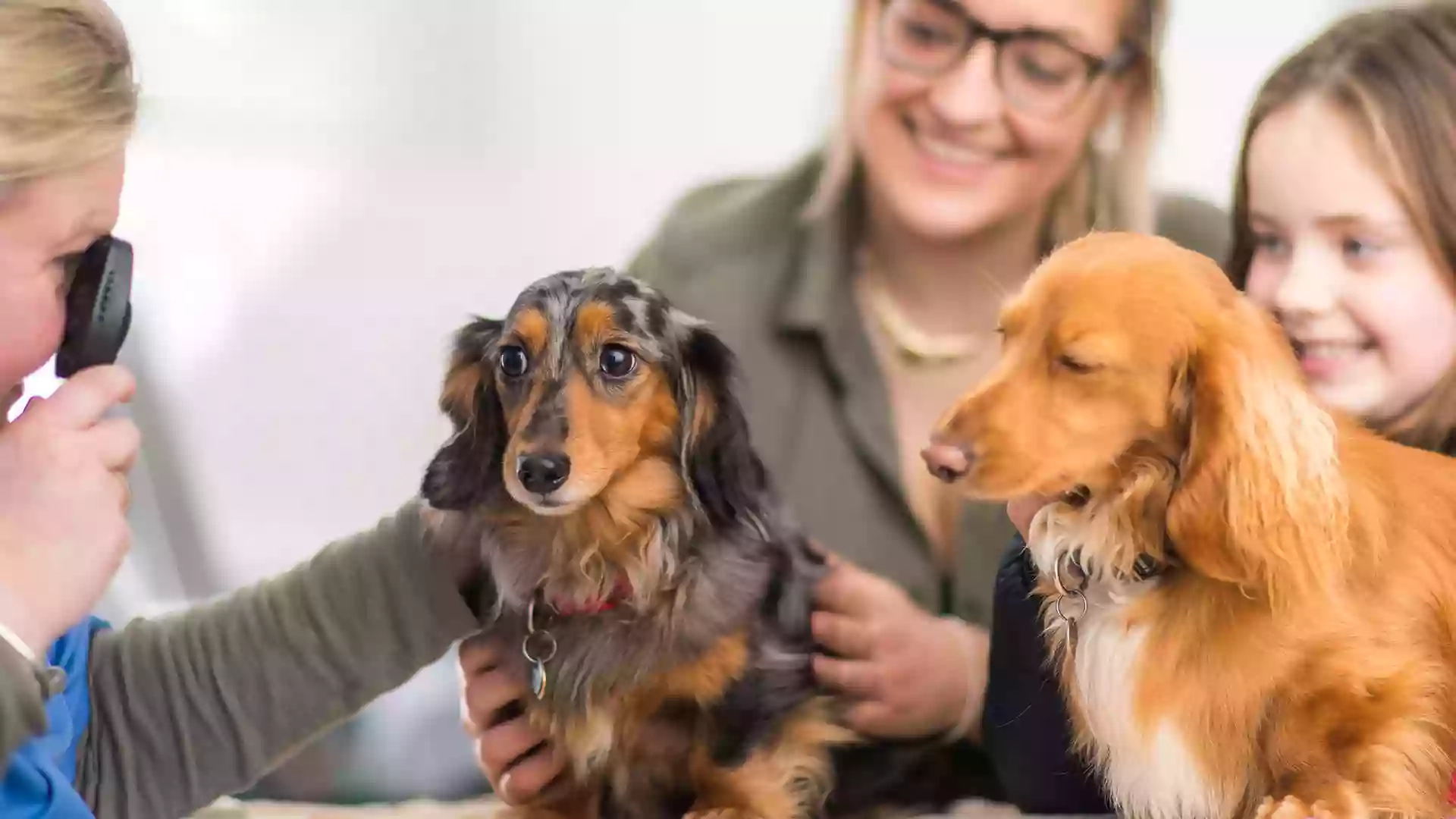 Chryston Veterinary Centre