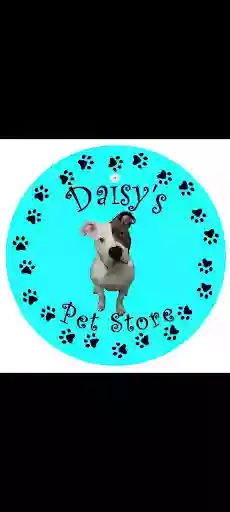 Daisy's pet store