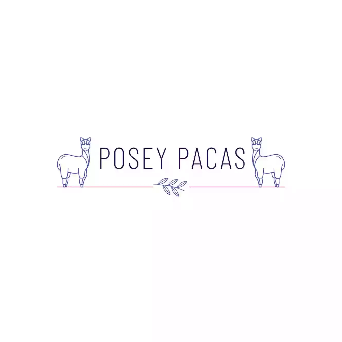 Posey Pacas Alpacas