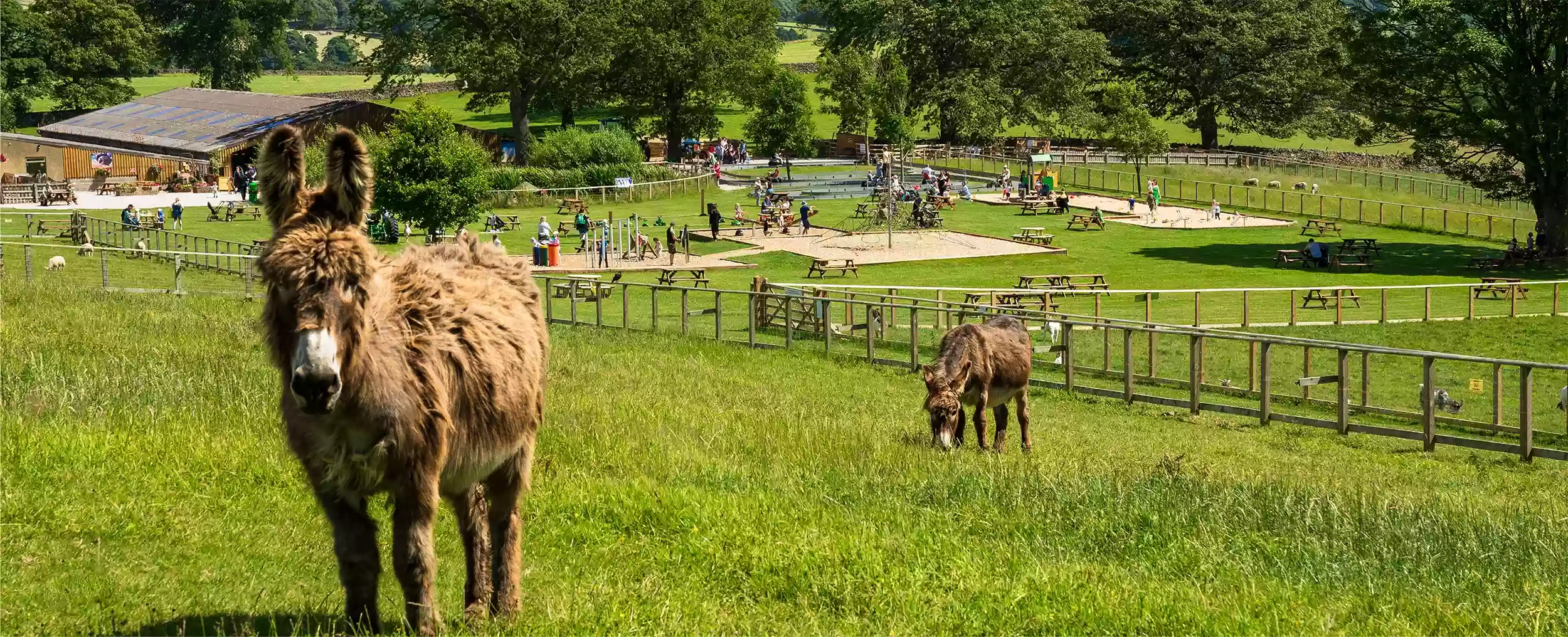 Hesketh Farm Park