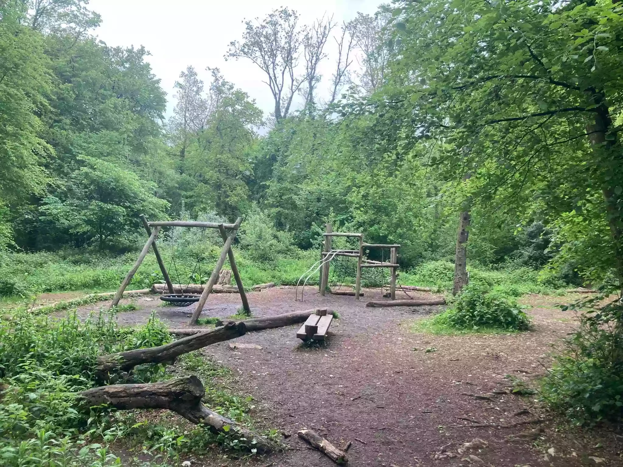 Woods play park. Spiders Web