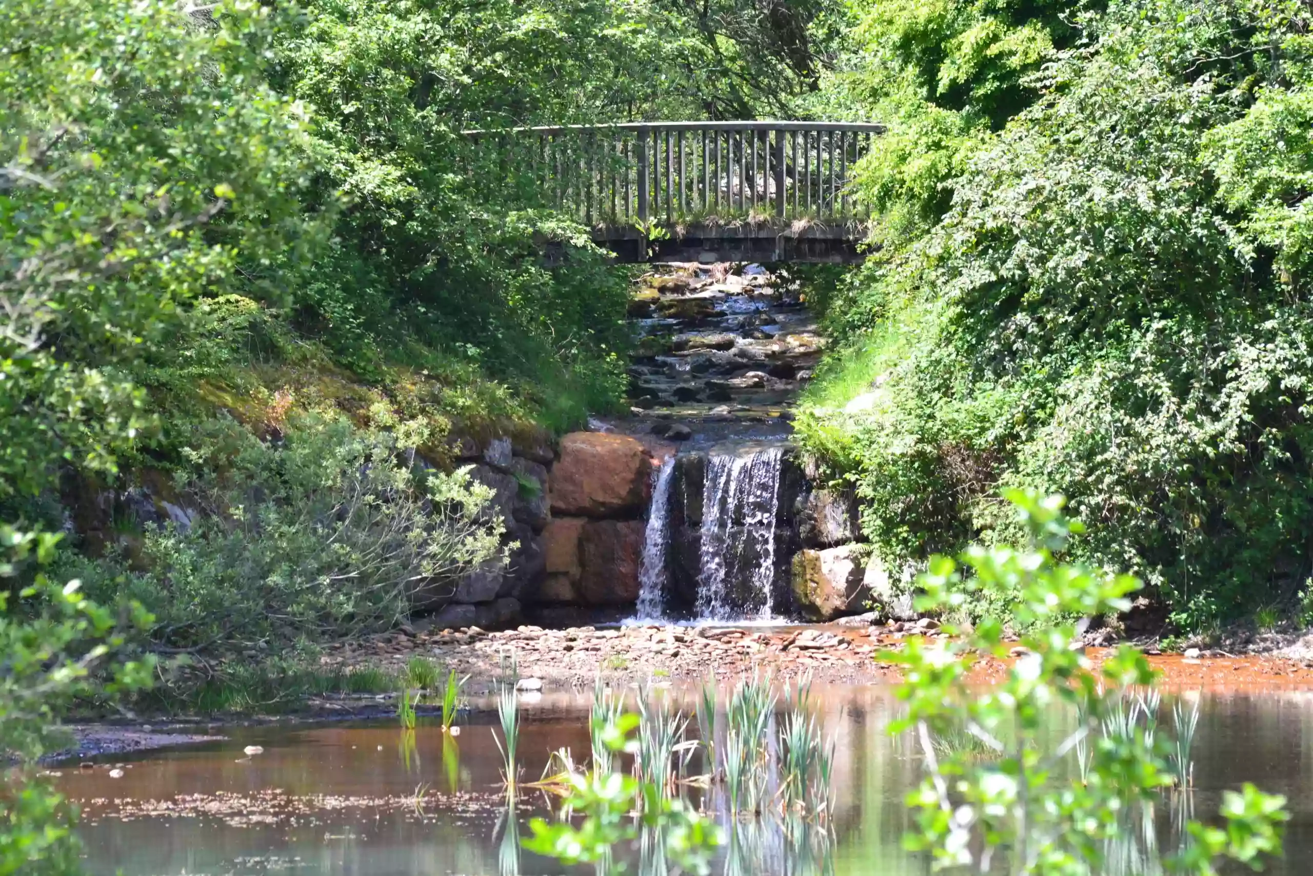 Clydach Vale Country Park