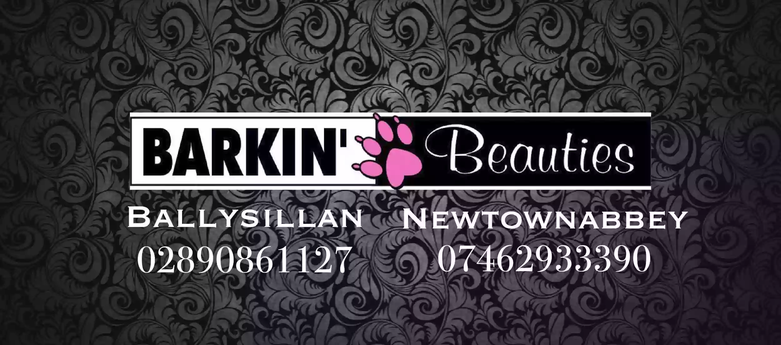 Barkin Beauties- Professional Dog Grooming -Newtownabbey