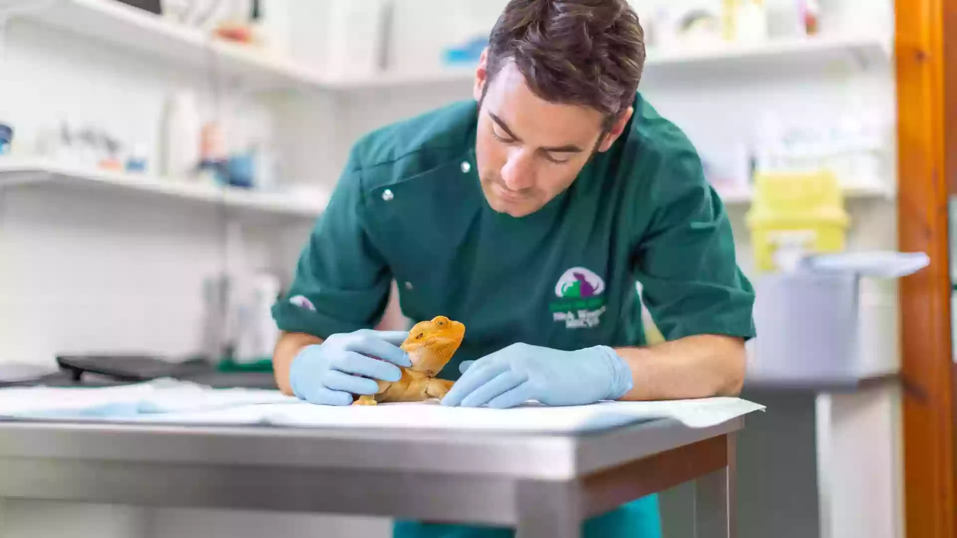 Clare Vet Clinic