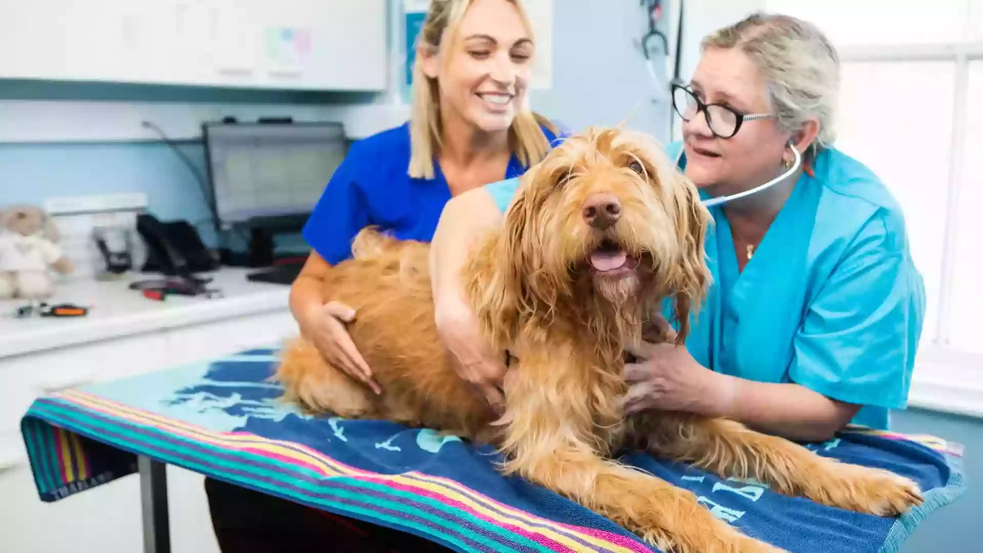 Christopher Carter Veterinary Surgery