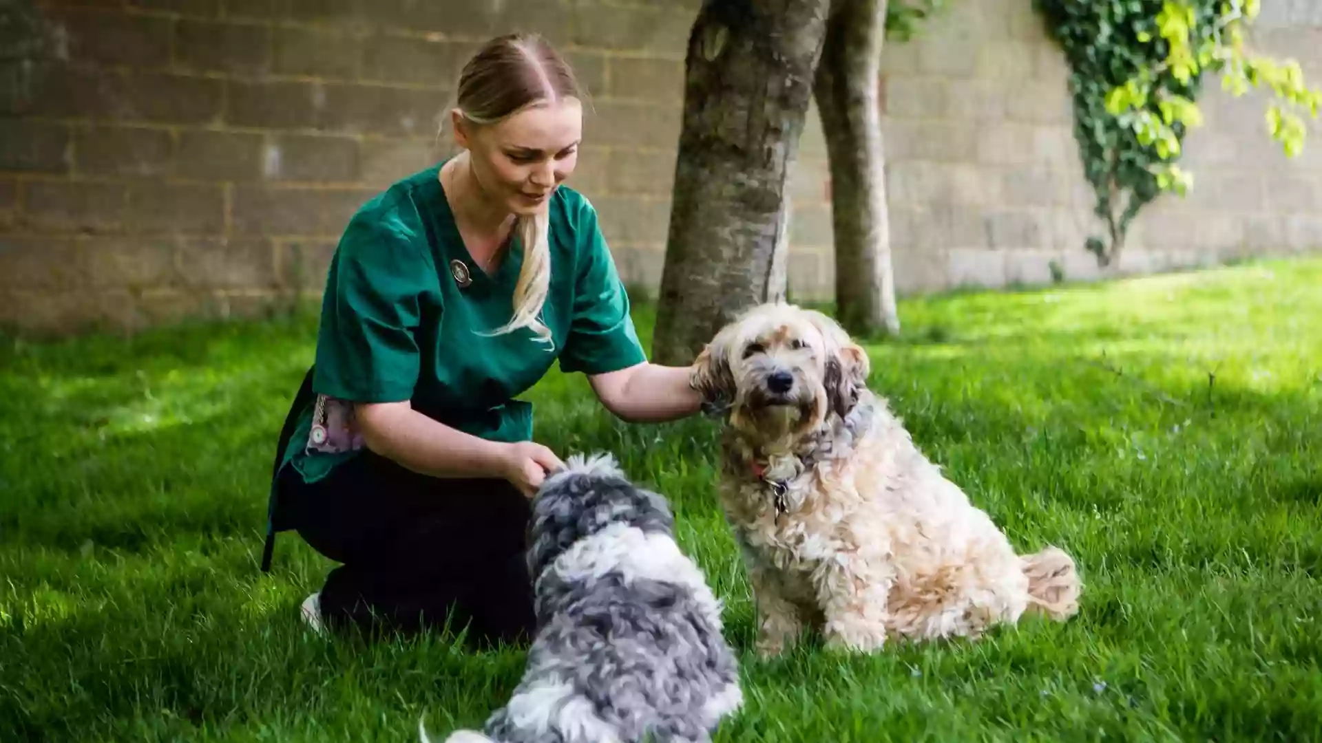 Strathmore Veterinary Clinic