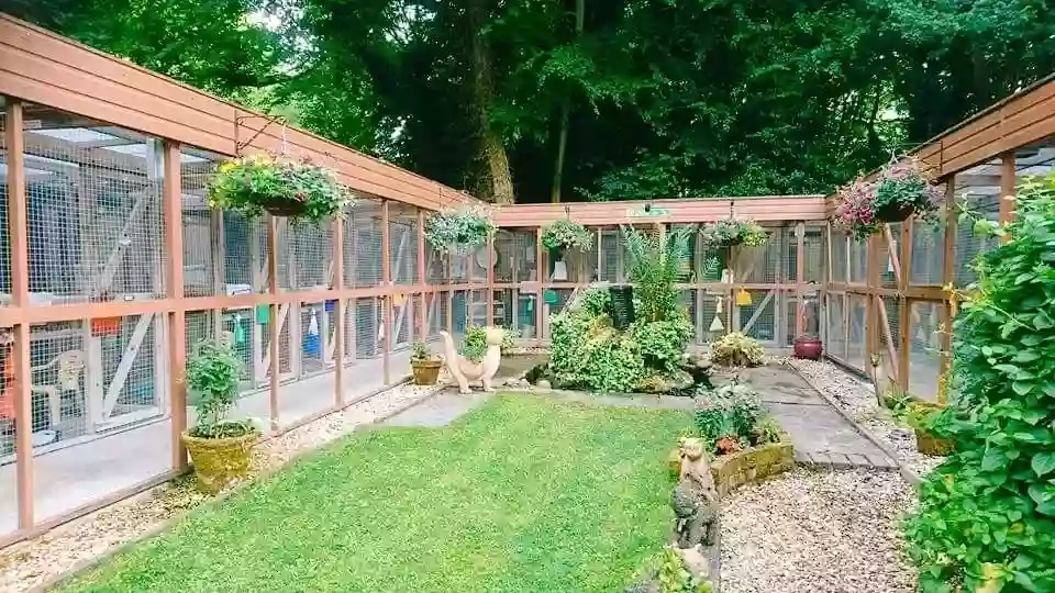 The Mews Boarding Cattery