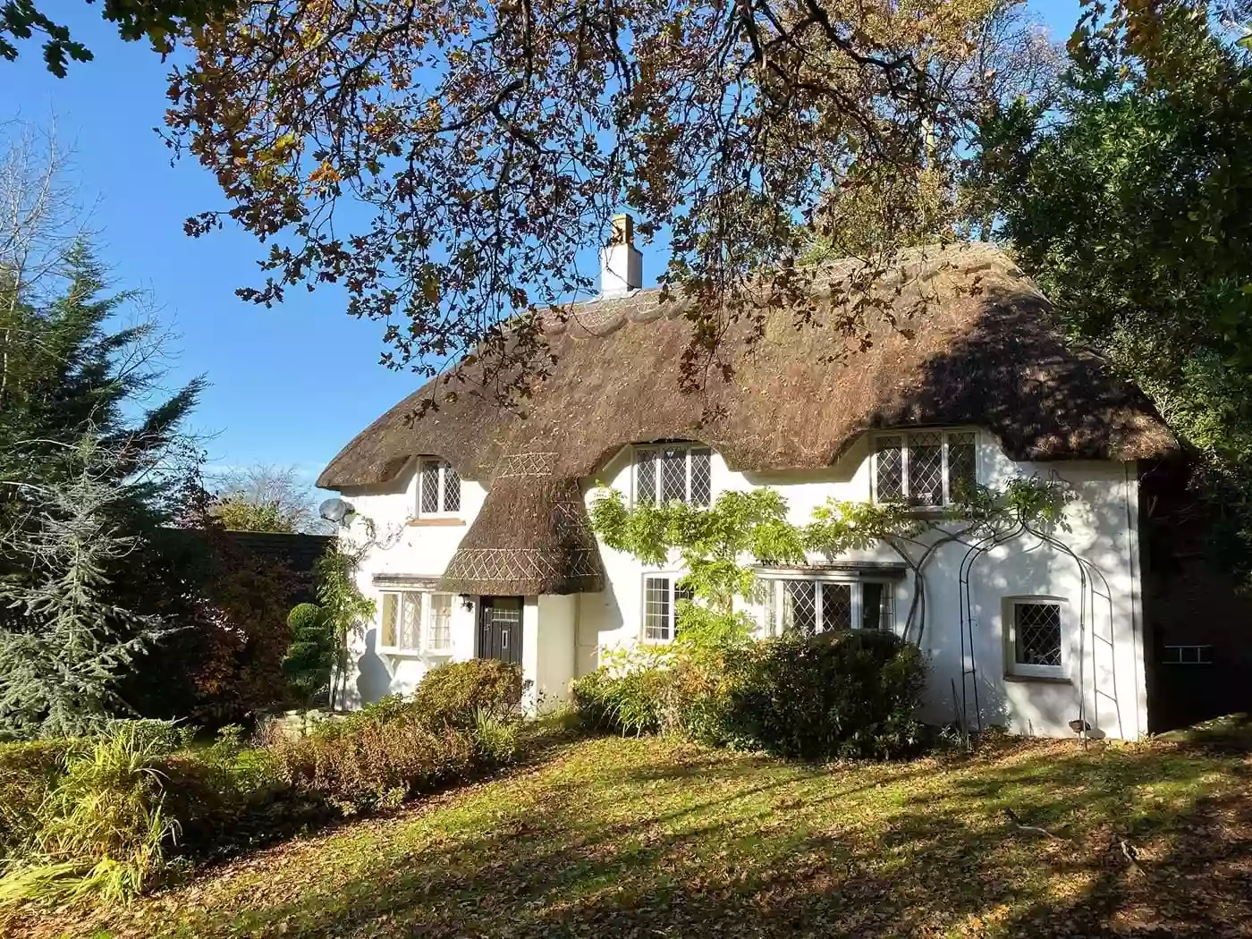 Forest drove Cottage