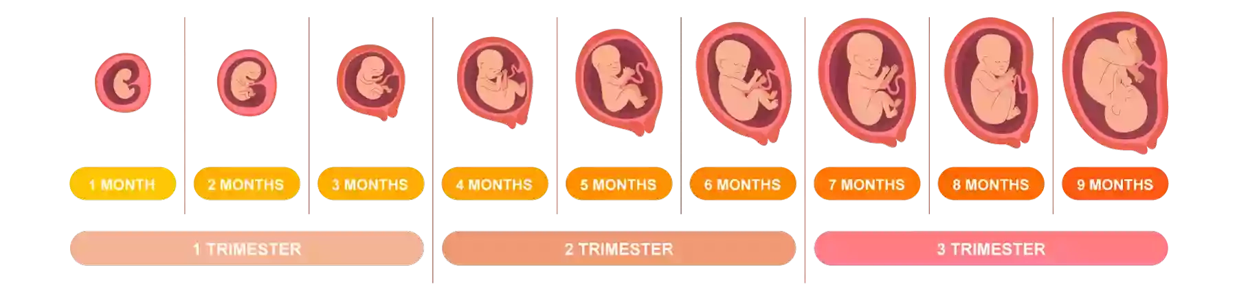 Baby Moments Ltd