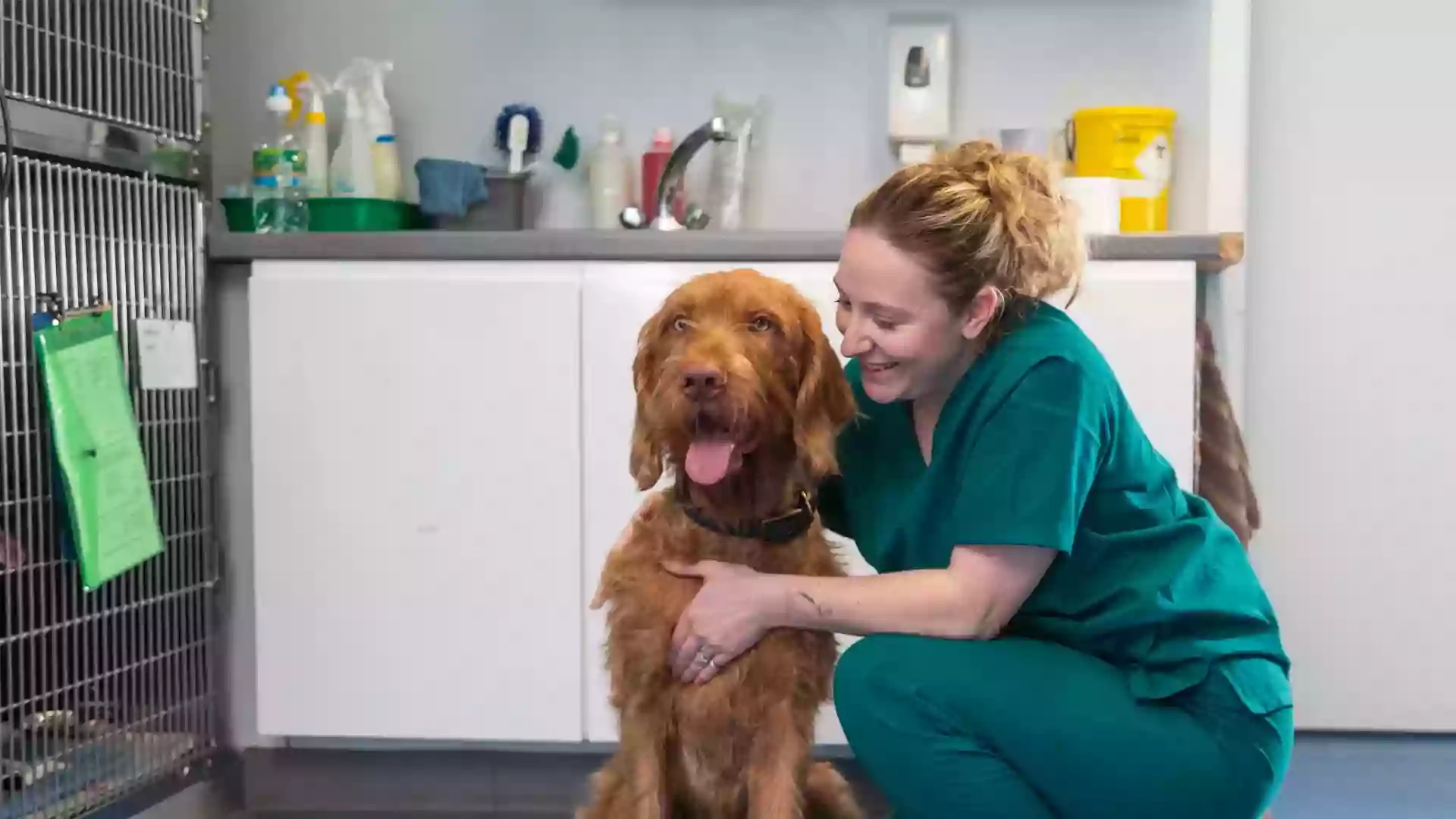 Castle Vets Pet Healthcare Centre