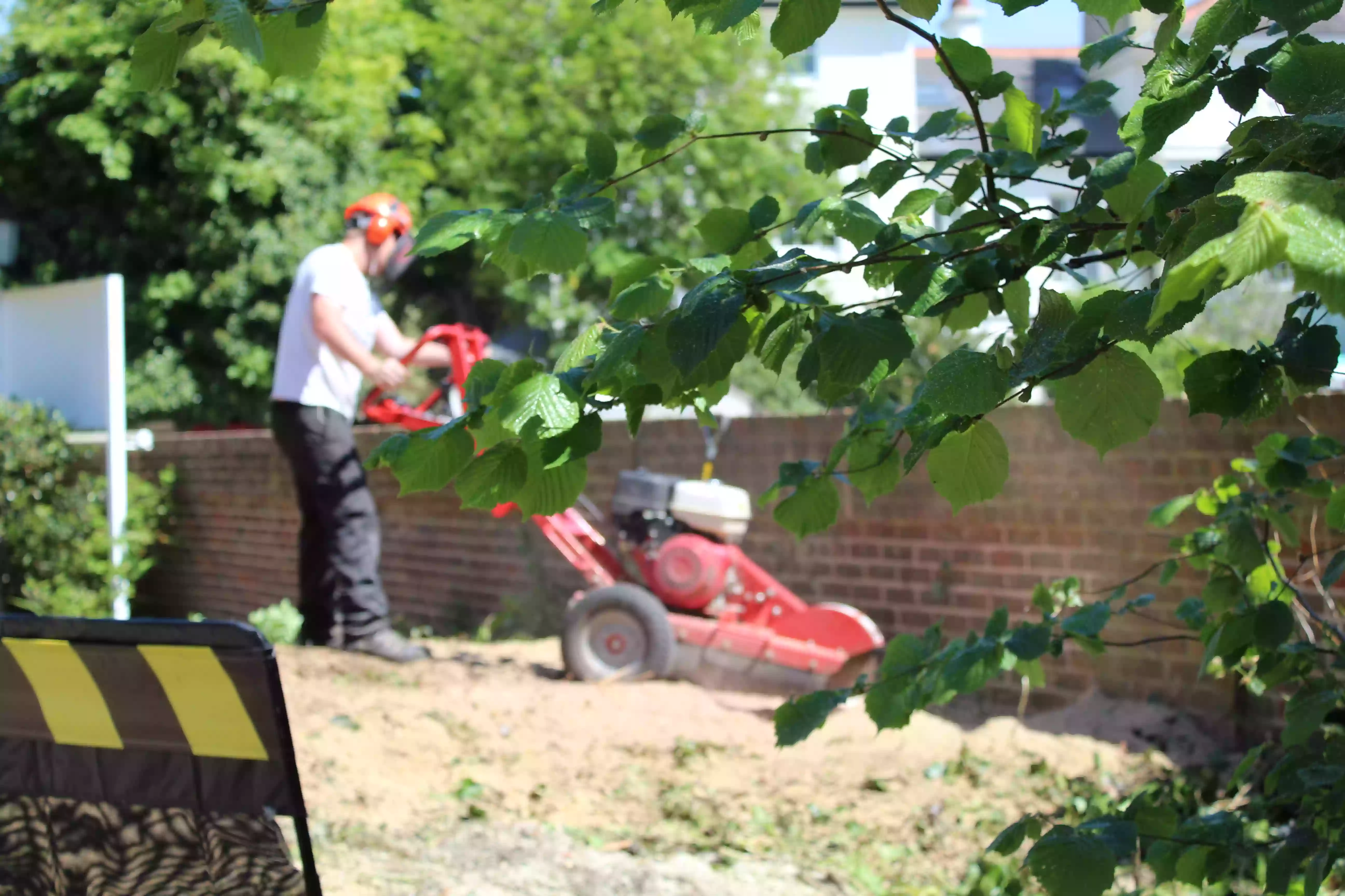 Angus Tree Services