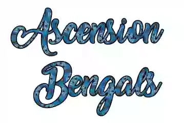 Ascension Bengals