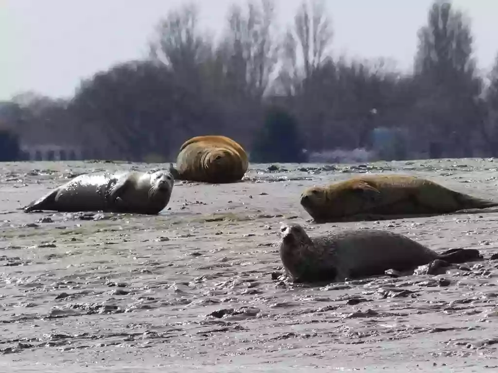 Chichester Harbour AONB