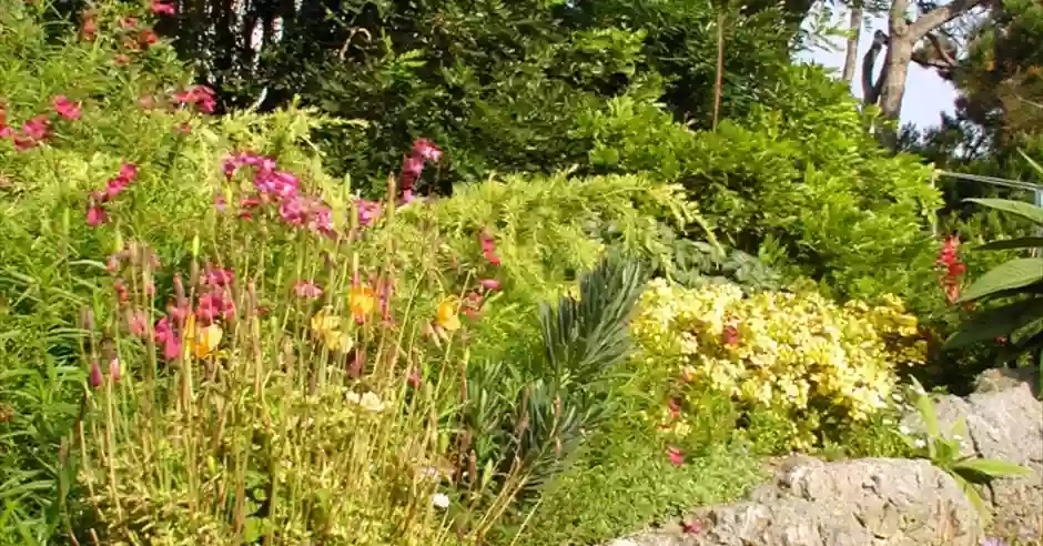 Southsea Rock Garden