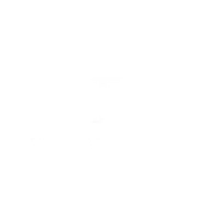 Elysian Brows & Beauty