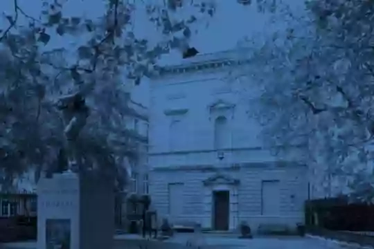 National Museum of Ireland - Natural History